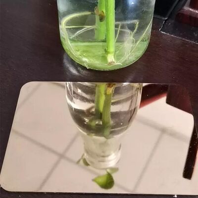 kupować Warto walcowana blacha ze stali nierdzewnej 316 do perforacji ścian z powierzchnią BA 2B 8K HL produkcja online